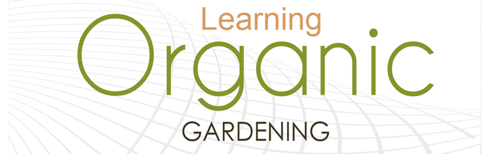 Learning Organic Gardening header